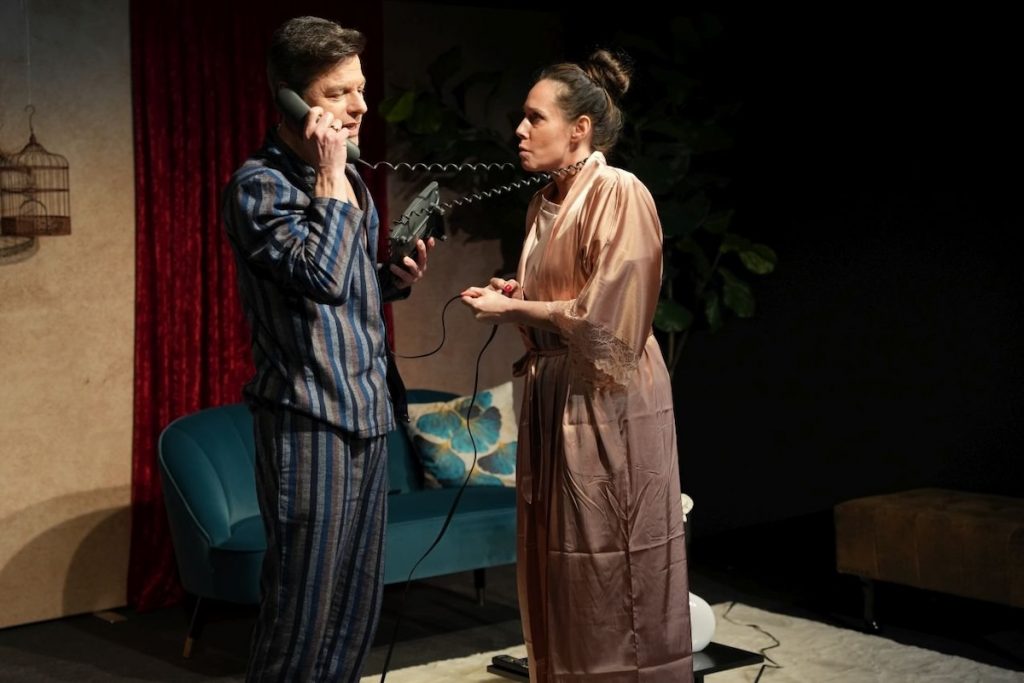 Der Sittich - Abendbrot im Vogelkäfig